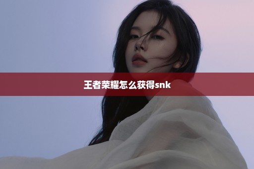 王者荣耀怎么获得snk