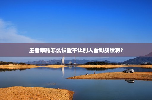王者荣耀怎么设置不让别人看到战绩啊？