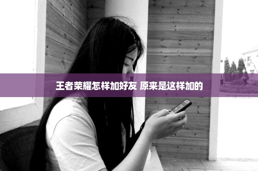 王者荣耀怎样加好友 原来是这样加的