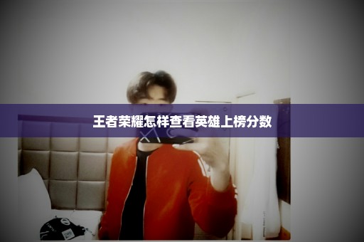 王者荣耀怎样查看英雄上榜分数