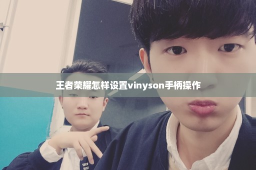 王者荣耀怎样设置vinyson手柄操作