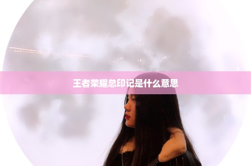 王者荣耀总印记是什么意思