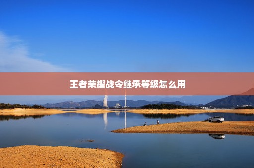 王者荣耀战令继承等级怎么用