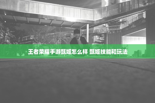 王者荣耀手游甄姬怎么样 甄姬技能和玩法