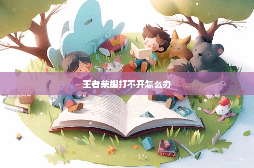 王者荣耀打不开怎么办