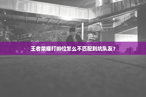 王者荣耀打排位怎么不匹配到坑队友？