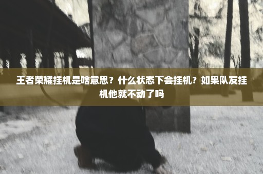 王者荣耀挂机是啥意思？什么状态下会挂机？如果队友挂机他就不动了吗