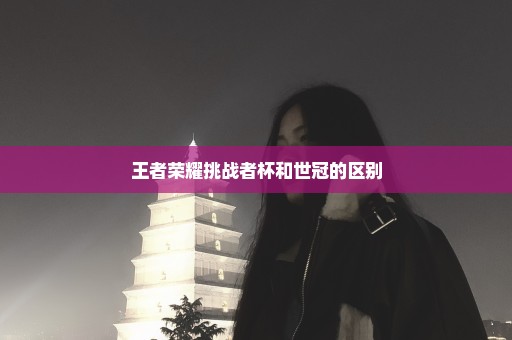 王者荣耀挑战者杯和世冠的区别