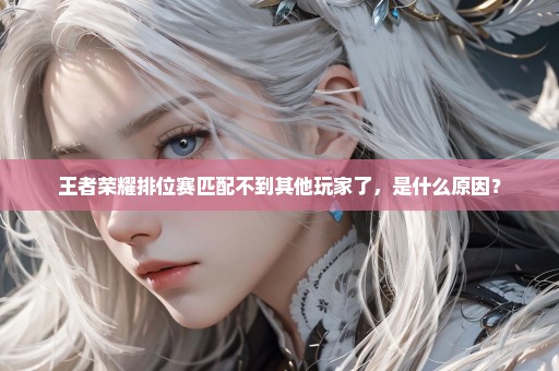 王者荣耀排位赛匹配不到其他玩家了，是什么原因？