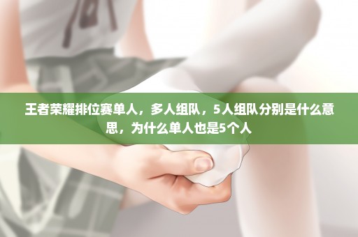 王者荣耀排位赛单人，多人组队，5人组队分别是什么意思，为什么单人也是5个人