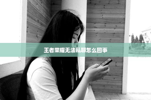 王者荣耀无法私聊怎么回事