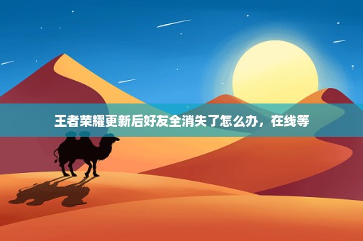 王者荣耀更新后好友全消失了怎么办，在线等