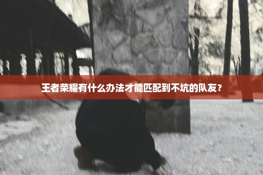 王者荣耀有什么办法才能匹配到不坑的队友？
