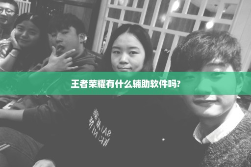 王者荣耀有什么辅助软件吗?