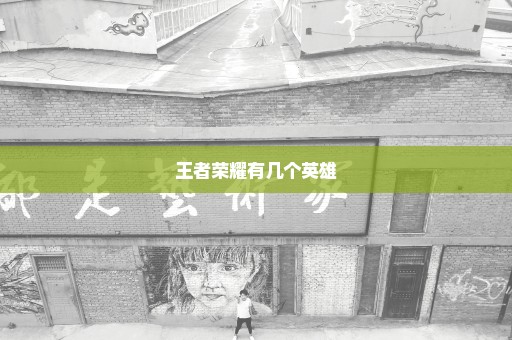 王者荣耀有几个英雄