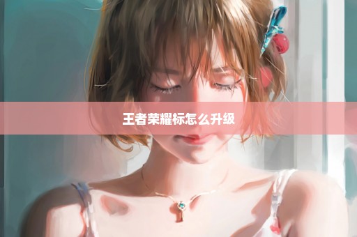 王者荣耀标怎么升级