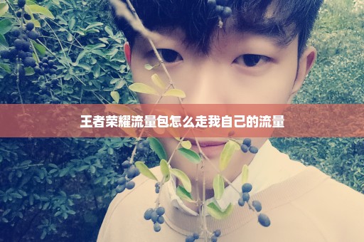 王者荣耀流量包怎么走我自己的流量