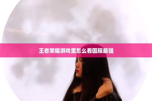 王者荣耀游戏里怎么看国服最强