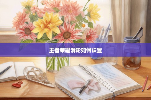 王者荣耀滑轮如何设置