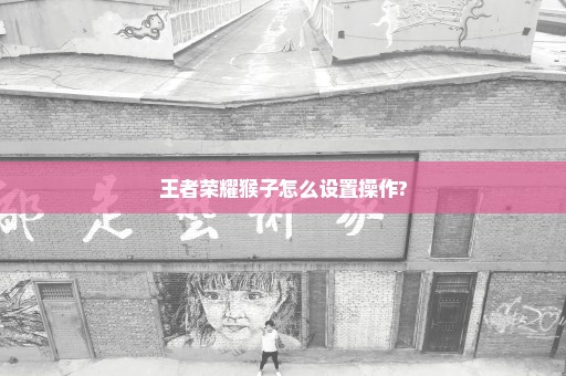 王者荣耀猴子怎么设置操作?
