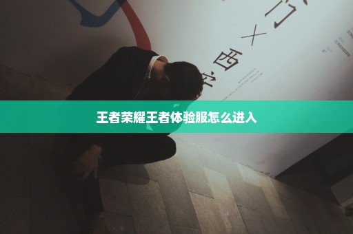 王者荣耀王者体验服怎么进入