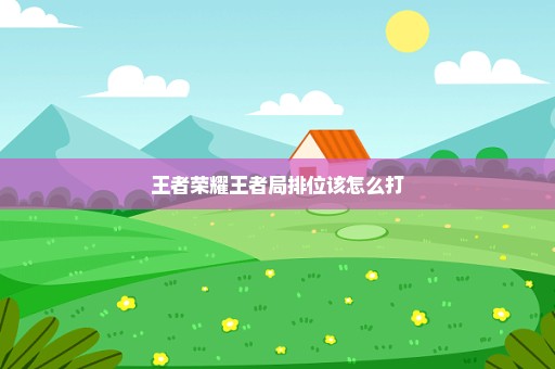 王者荣耀王者局排位该怎么打