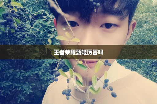 王者荣耀甄姬厉害吗