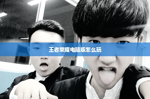 王者荣耀电脑版怎么玩