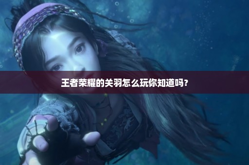 王者荣耀的关羽怎么玩你知道吗？