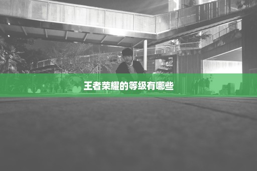 王者荣耀的等级有哪些