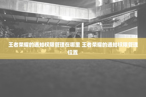 王者荣耀的通知权限管理在哪里 王者荣耀的通知权限管理位置