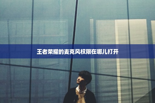 王者荣耀的麦克风权限在哪儿打开