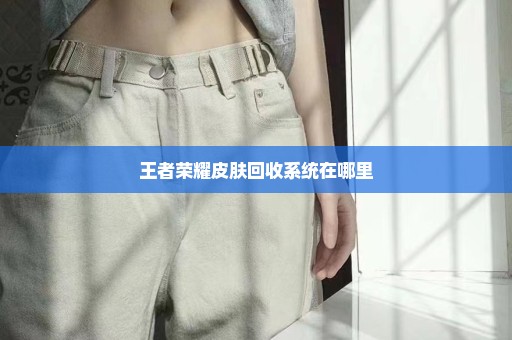 王者荣耀皮肤回收系统在哪里