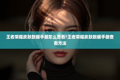 王者荣耀皮肤数据手册怎么查看?王者荣耀皮肤数据手册查看方法