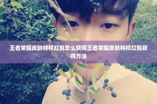 王者荣耀皮肤特权红包怎么获得王者荣耀皮肤特权红包获得方法
