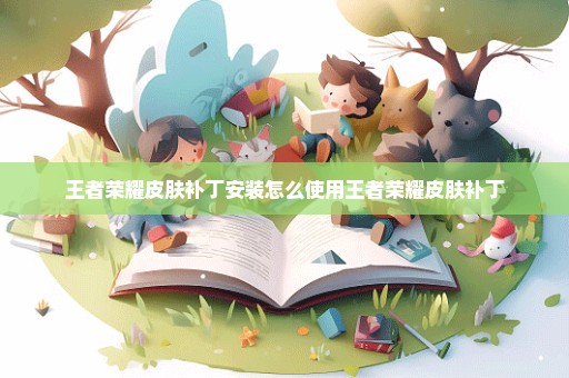 王者荣耀皮肤补丁安装怎么使用王者荣耀皮肤补丁
