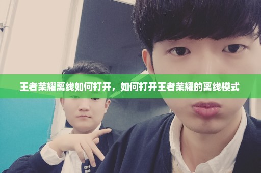 王者荣耀离线如何打开，如何打开王者荣耀的离线模式 