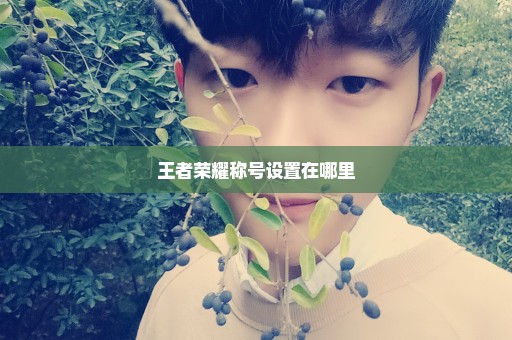王者荣耀称号设置在哪里