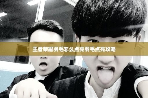 王者荣耀羽毛怎么点亮羽毛点亮攻略