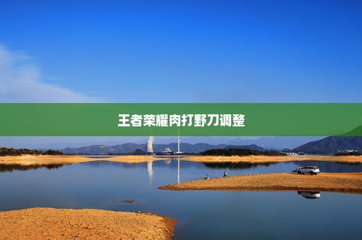 王者荣耀肉打野刀调整