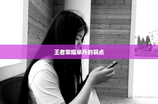 王者荣耀芈月的弱点