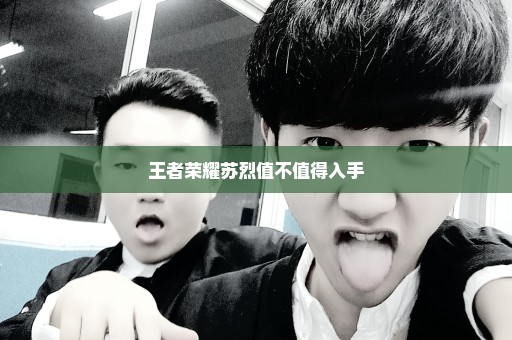 王者荣耀苏烈值不值得入手