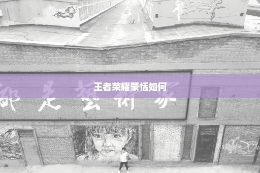 王者荣耀蒙恬如何