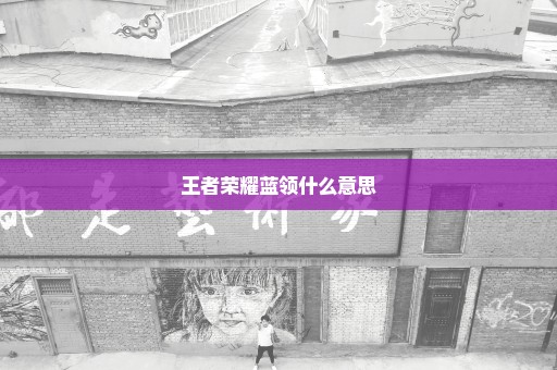 王者荣耀蓝领什么意思