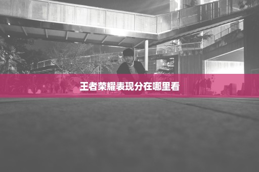王者荣耀表现分在哪里看