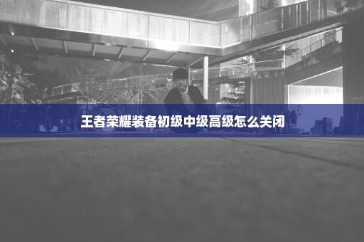 王者荣耀装备初级中级高级怎么关闭