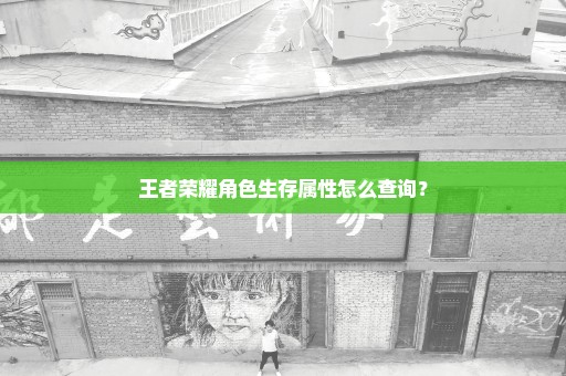 王者荣耀角色生存属性怎么查询？