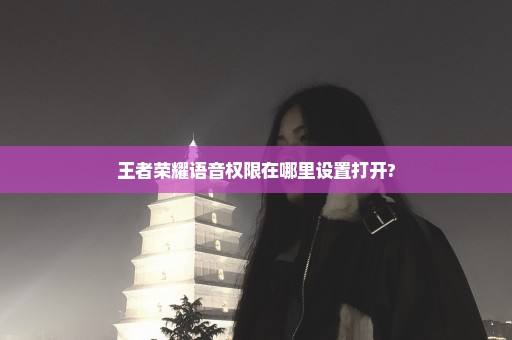 王者荣耀语音权限在哪里设置打开?