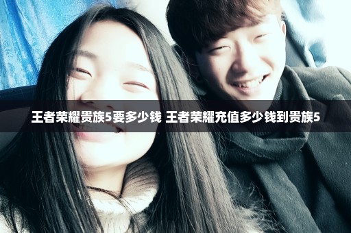 王者荣耀贵族5要多少钱 王者荣耀充值多少钱到贵族5