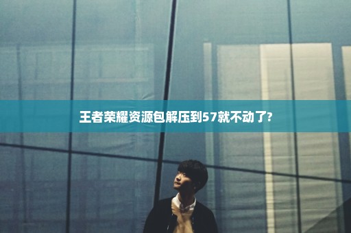 王者荣耀资源包解压到57就不动了?